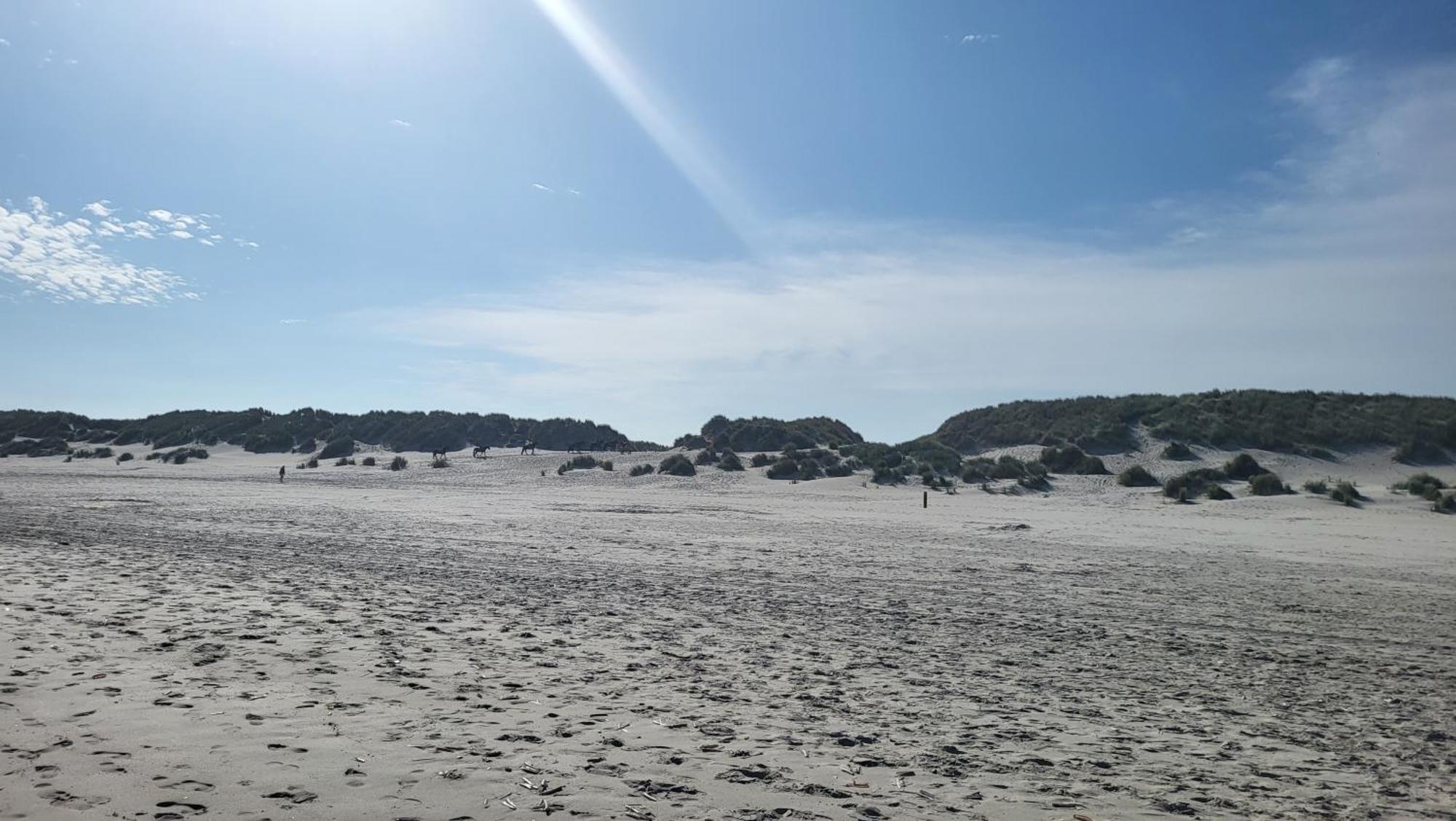 Duinzicht, Amelander Paradijs, Zonnig 6 Persoons Appartement Met Groot Terras Op De Begane Grond, Vrij Uitzicht, Upgrade 2024 Buren  Bagian luar foto