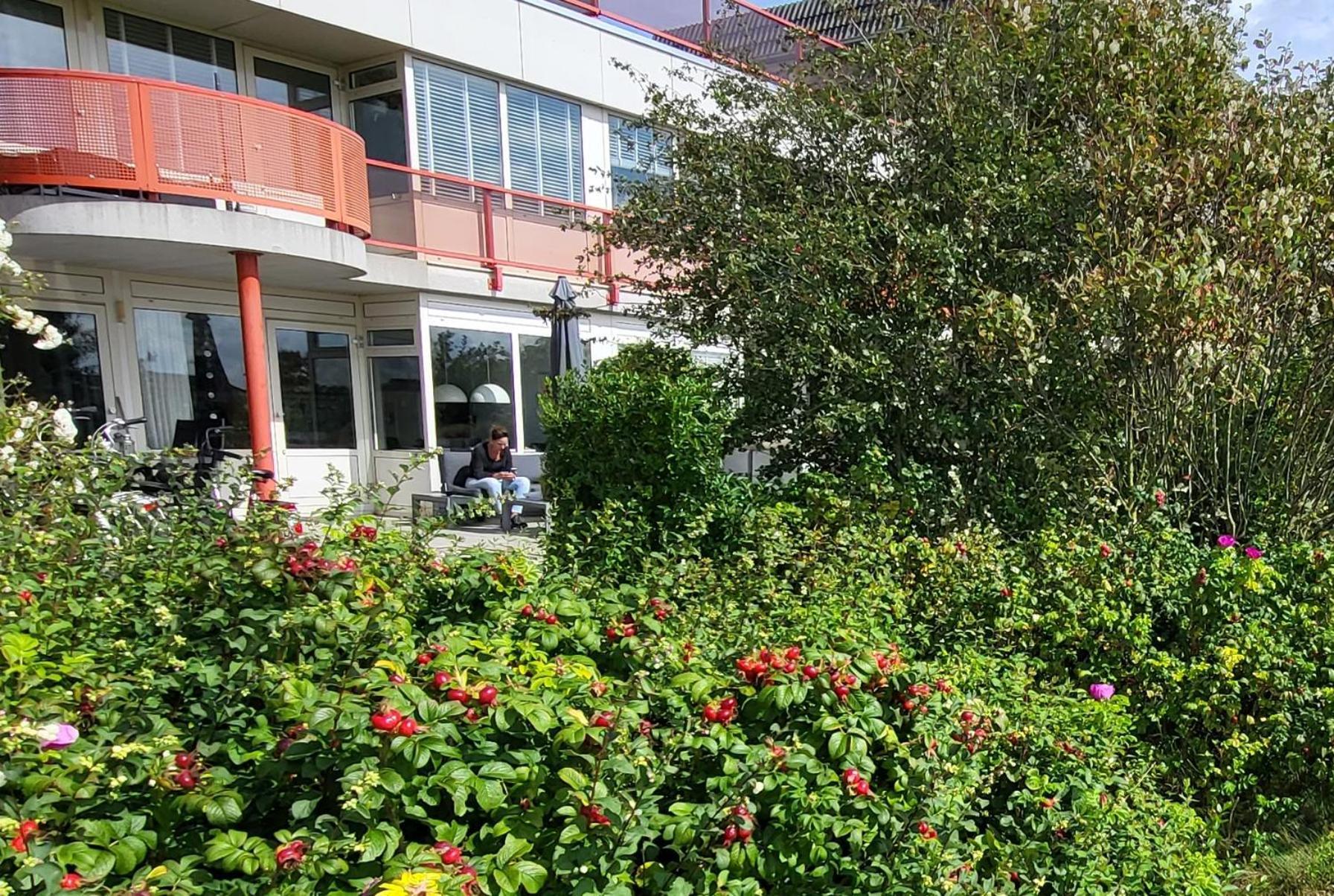 Duinzicht, Amelander Paradijs, Zonnig 6 Persoons Appartement Met Groot Terras Op De Begane Grond, Vrij Uitzicht, Upgrade 2024 Buren  Bagian luar foto