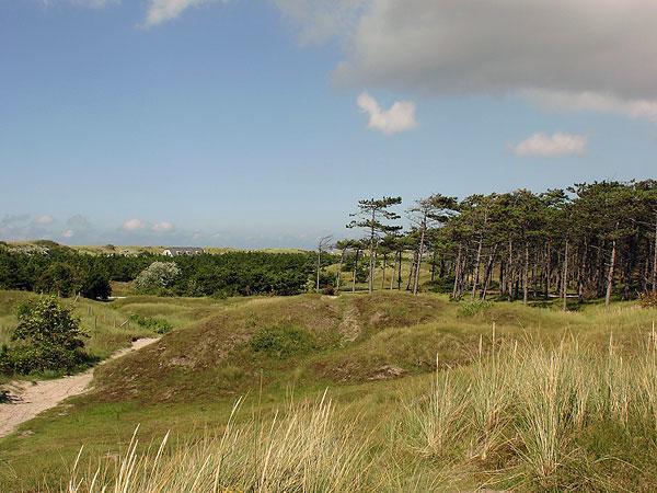 Duinzicht, Amelander Paradijs, Zonnig 6 Persoons Appartement Met Groot Terras Op De Begane Grond, Vrij Uitzicht, Upgrade 2024 Buren  Bagian luar foto